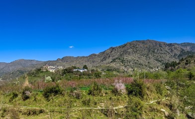 greenery spring and mountains 