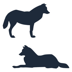  Silhouettes of standing and lying arctic wolves isolated on white background. Vector illustration EPS 8