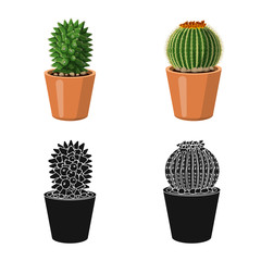 Vector design of cactus and pot icon. Set of cactus and cacti stock symbol for web.