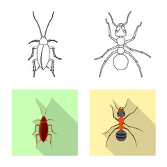 Vector illustration of insect and fly icon. Collection of insect and element stock symbol for web.