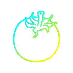 cold gradient line drawing fresh tomato