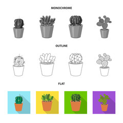 Vector illustration of cactus and pot logo. Set of cactus and cacti stock symbol for web.
