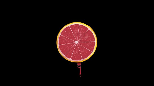 Orange slices rotating on background - animation