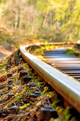 rails out of order in a forest in Poland