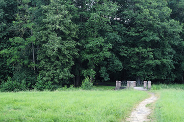 Pedestrian path with a bridge in the green park Nesvizh, Belarus.