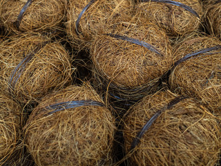 Sticks to support plants. Coconut support to support the trunks of young trees