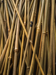 Bamboo supports for garden plants. Thin and durable bamboo rods for different plants in the garden