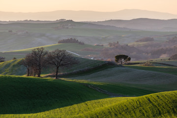 Beautiful sunset Tuscany landscape in spring time with wave green hills. Tuscany, Italy, Europe