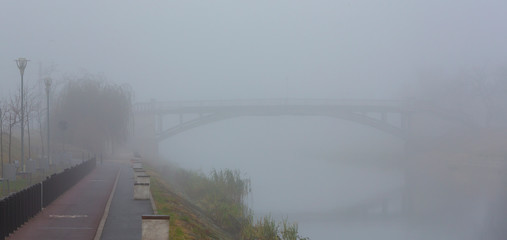 Eerie autumn scenery with fog in the city, on a November day