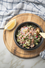 Norddeutscher Friesischer Nordseekrabben Salat in Schale mit Gurken, Radieschen, Zwiebeln, Dill und Zitronen auf Holz Brett