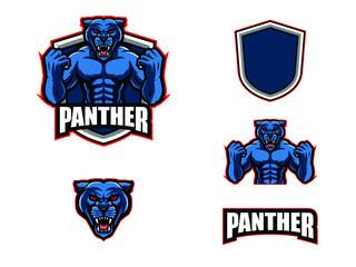 panther mascot set collection in logo sport