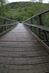 Fototapeta premium Bridge In The Forest.