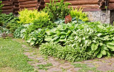 Decorative corner of various tall and picturesque plants along the wall of a country house