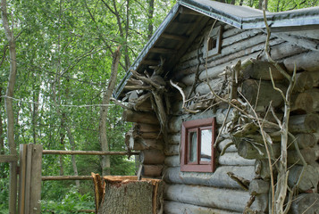 Abandoned old building located in a wooded area on the waterfront