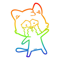 rainbow gradient line drawing crying cartoon cat