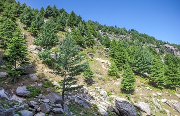 Rocks trees and hiking mountain