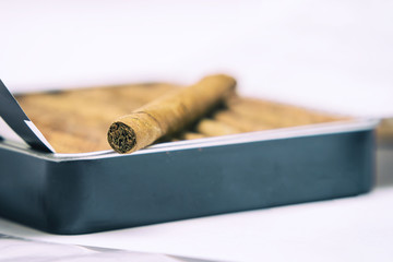 Box of cigarillos on a white background. On the box is one cigarillo