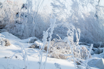 Fototapeta na wymiar landscape with frosted trees and heavy snow in winter park as in fairy tales