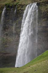 Obraz premium Seljalandsfoss waterfall, Southern Iceland
