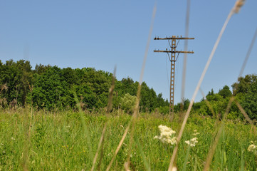 Fototapeta na wymiar Electric pole in field