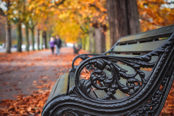 Bench with autumn scene in Greenwich park, London