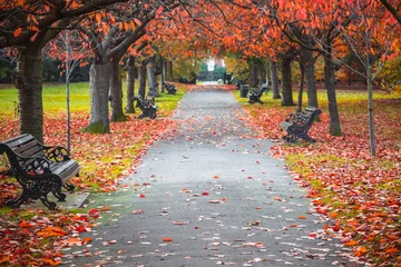 Fleecedeken met foto Met bomen omzoomde herfstscène in Greenwich park, Londen © I-Wei Huang