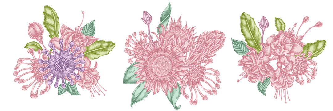 Flower bouquet of pastel african daisies, fuchsia, king protea