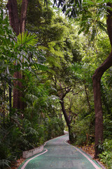 Bicycle path in the park in Bangkok Thailand relax travel