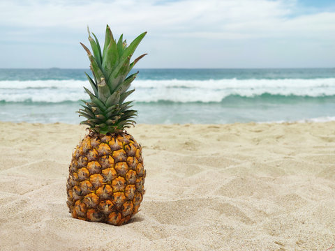 tropical ripe fruit pineapple