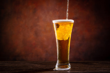 ビールで乾杯