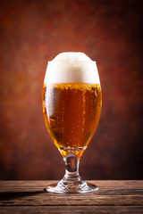ビールで乾杯
