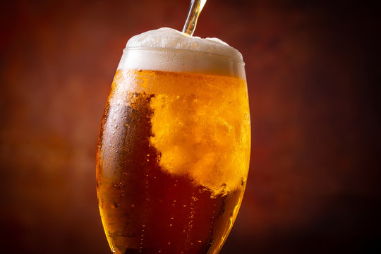 14 294 Best 乾杯 Images Stock Photos Vectors Adobe Stock 14 294 Best 乾杯 Images Stock Photos Vectors Adobe Stock