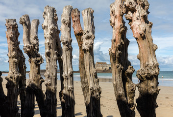 Big breakwater, 3000 trunks to defend the city from the tides, Plage de l'Éventail beach in...