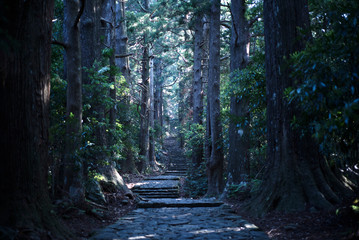 熊野古道