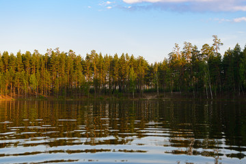 wooded shore of the lake with reflection in the water on a summer evening