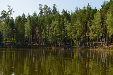 Fototapeta na wymiar wooded shore of a lake with reflection in the water on a summer day