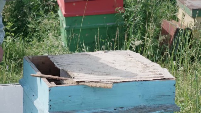 Beekeeper puts a rag cover over honeycomb in a hive