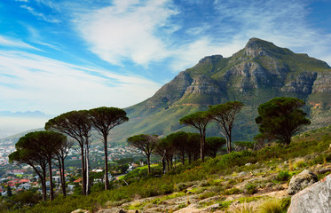 Devil's Peak, Cape Town. South Africa