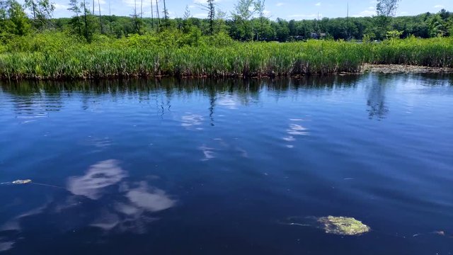 Man sitting on dock at the lake taking a phone call on iPhone or android during the summer on a sunny day at the shore of the canal with beautiful scenery