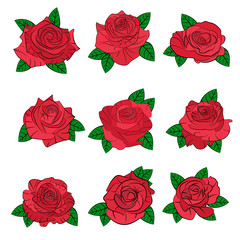 Flowers roses, red buds and green leaves. Set collection. Isolated on white background. Vector illustration.