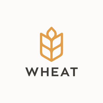 Wheat logo design concept.