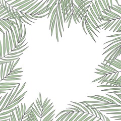 Naklejka na ściany i meble Vector background with hand drawn tropical plants. Palm leaves.