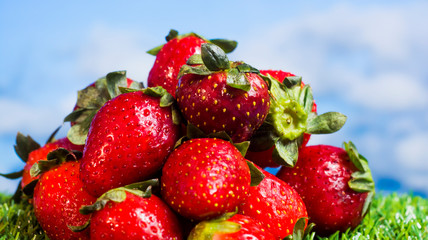 Red strawberries on green grass with blue sky background