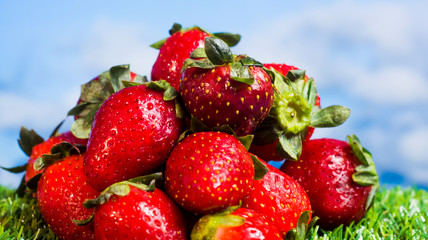 Red strawberries on green grass with blue sky background