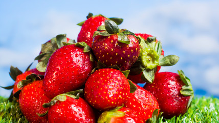 Red strawberries on green grass with blue sky background