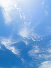初夏の空