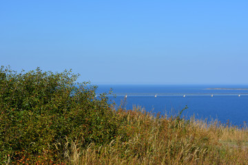 Picturesque landscape with trees, herbs and bridge over the river with blue water under blue sky.