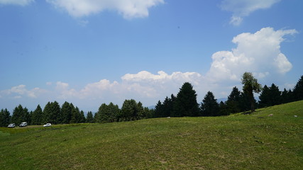 green field and blue sky