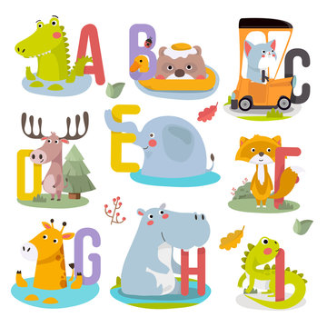 Cute Animal alphabet Vector illustration