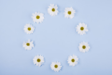 Fototapeta premium Daisies flowers in a circular shape